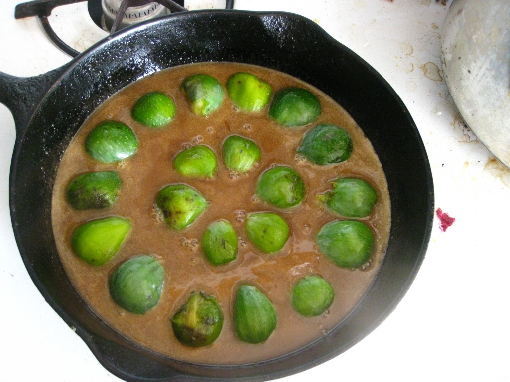 placing figs 02
