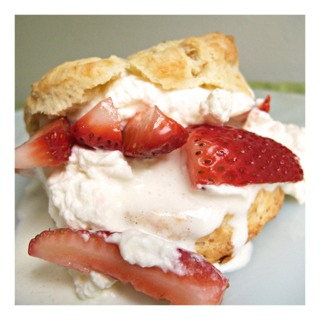 shortcake