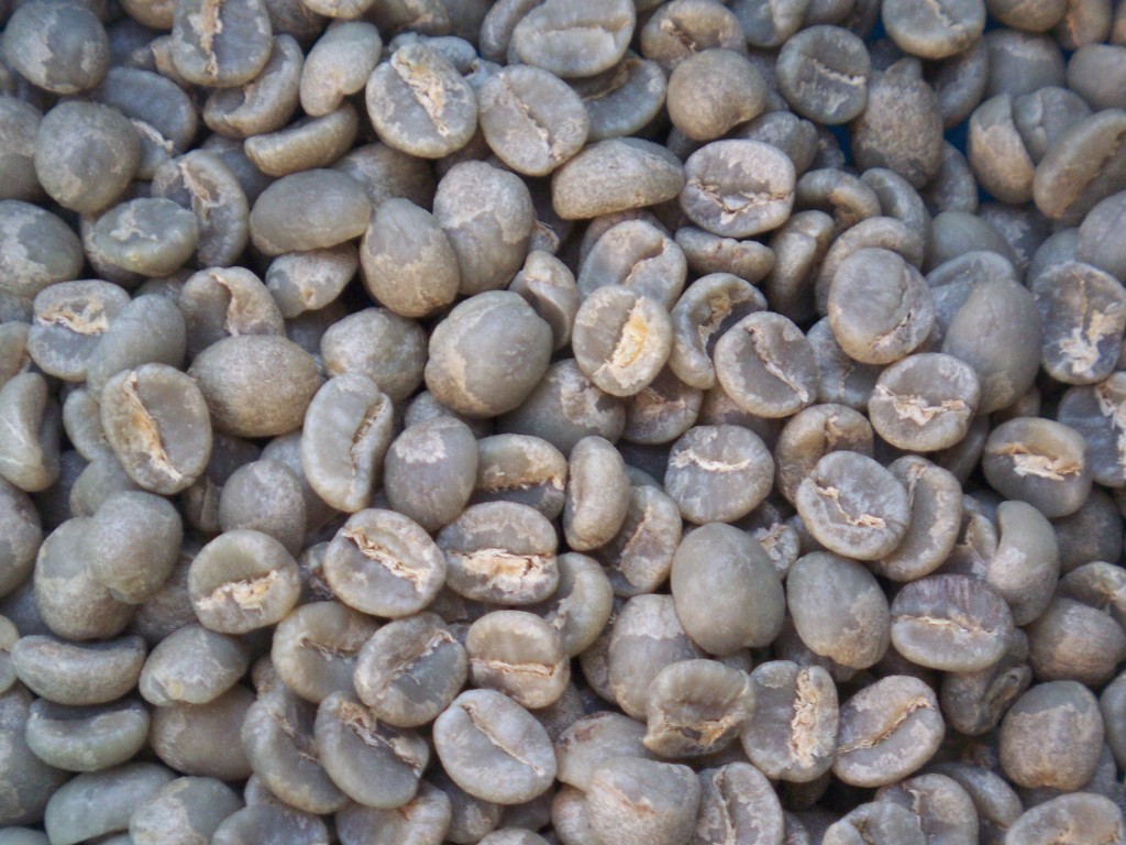 03 green beans