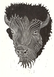 Bison - Relief Print